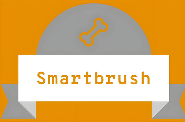 smartbrushstore